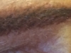 After removal of most of red ink, and new tattoo color applied, to make a new brow with a look of real hair. 1045