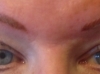 brows after