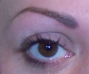 Brows after